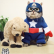 Image for article titled Meet China's Next Cat Celebrity